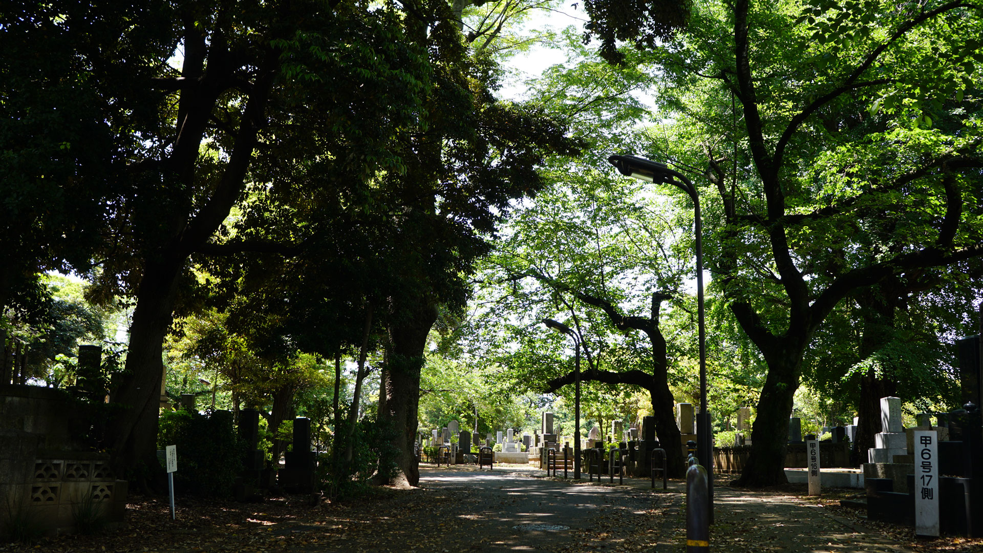 An Afternoon at Yanaka Cemetery